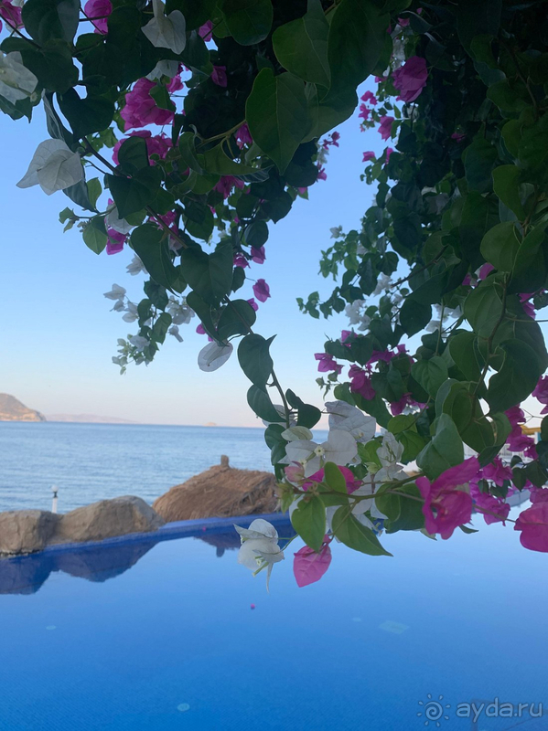 Отдыхом остались довольны ! Спасибо! Отдыхом остались довольны ! Спасибо!