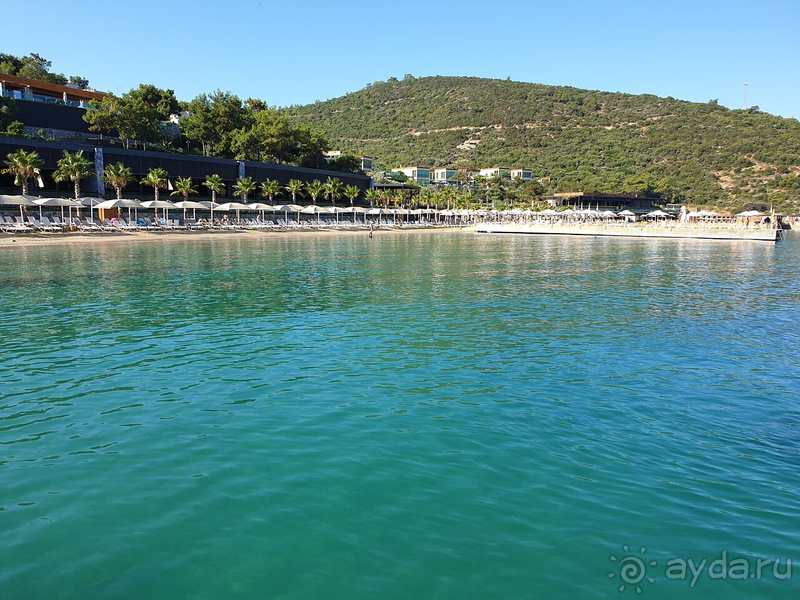 Vogue Август 2020