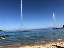 Не оправдал ожиданий