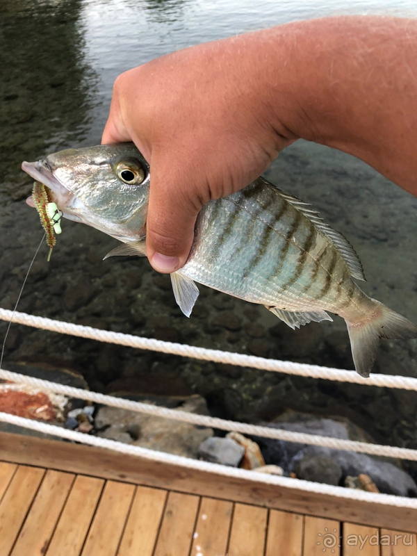 Не оправдал ожиданий