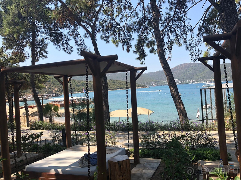 Не оправдал ожиданий