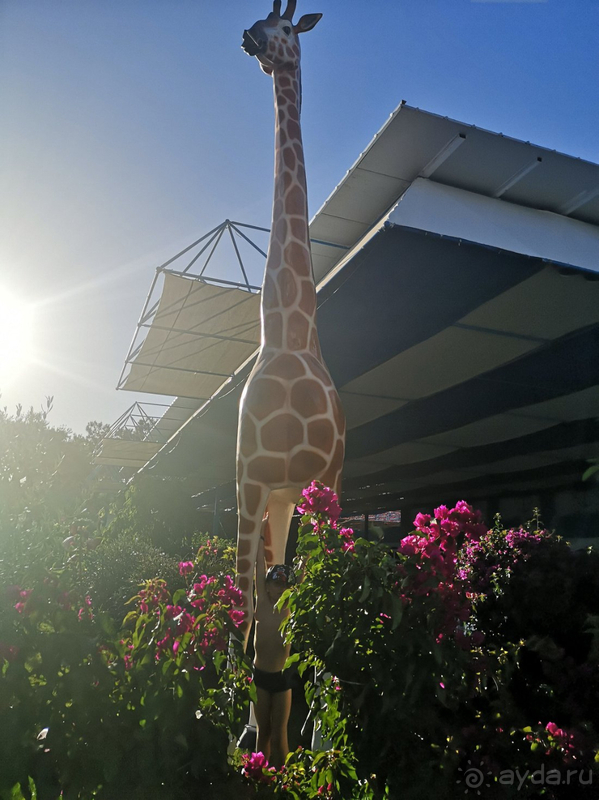 Прекрасно отдохнули в Турции