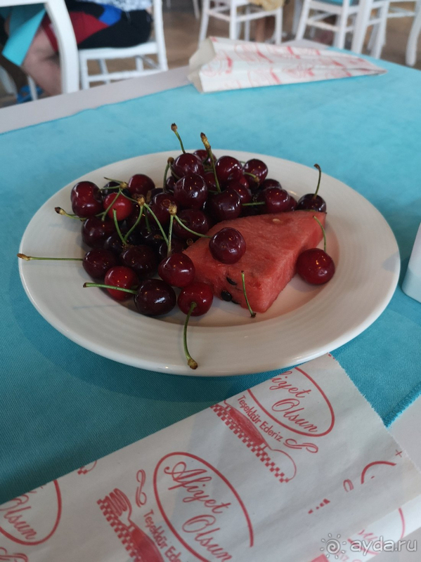 Прекрасно отдохнули в Турции Прекрасно отдохнули в Турции