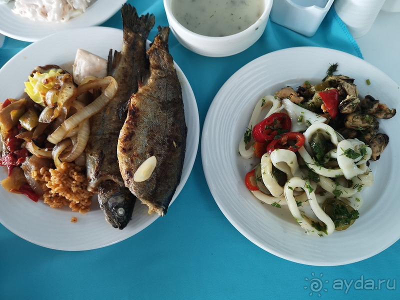 Прекрасно отдохнули в Турции Прекрасно отдохнули в Турции