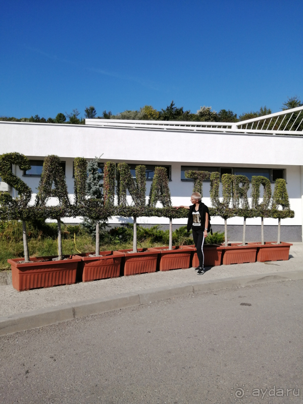 В гости к цыганам