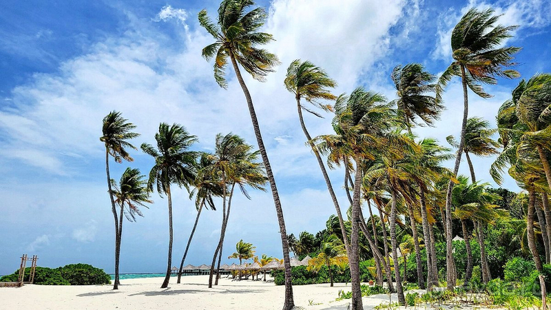 Прекрасное место для отдыха.