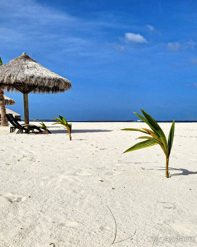 фото Kihaa Maldives Hotel