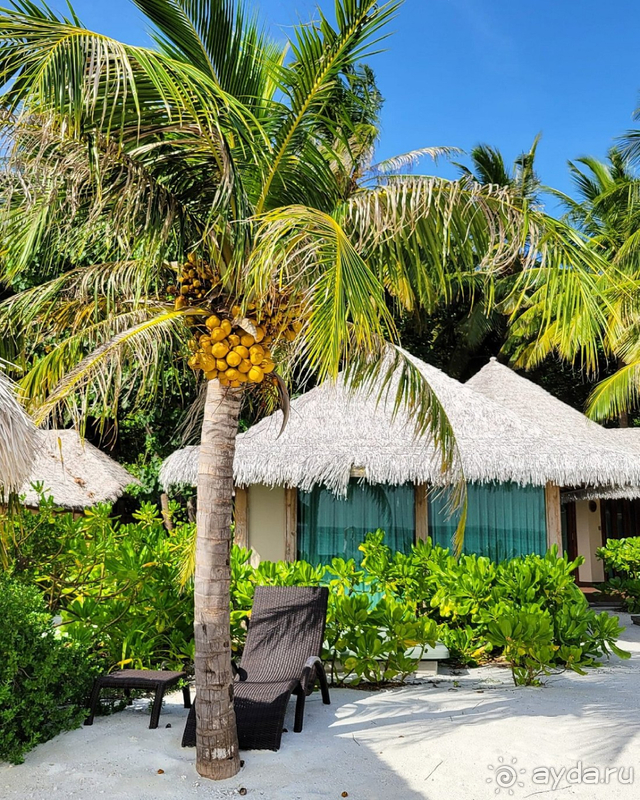 фото Kihaa Maldives Hotel