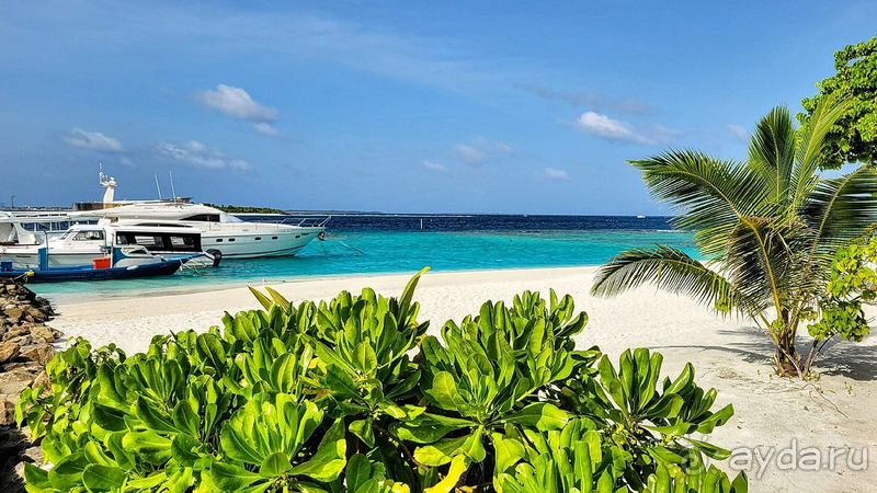 Прекрасное место для отдыха.