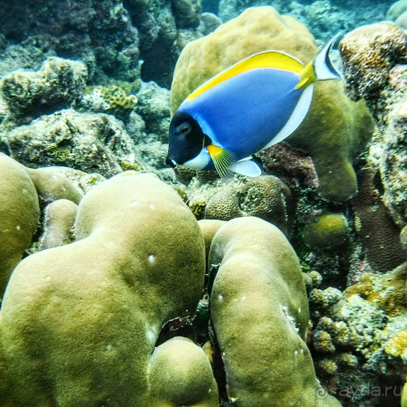 Прекрасное место для отдыха.