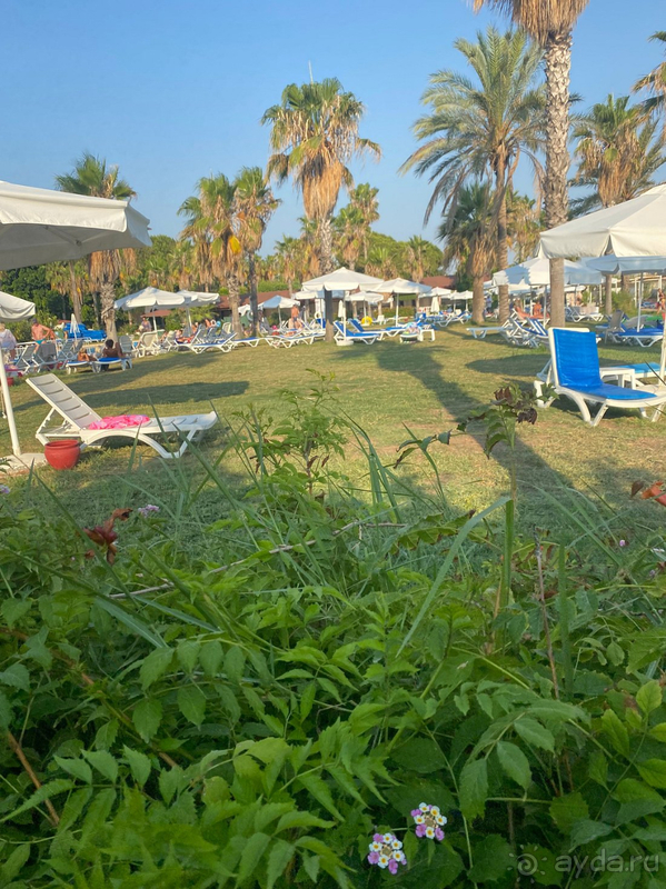 Замечательно отдохнули!