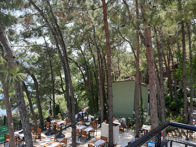 Потрясающие панорамы