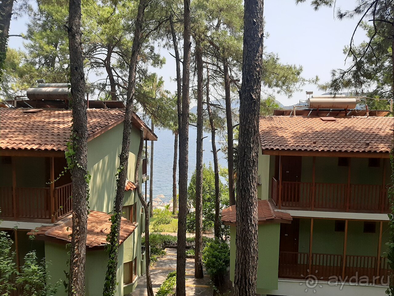 Потрясающие панорамы