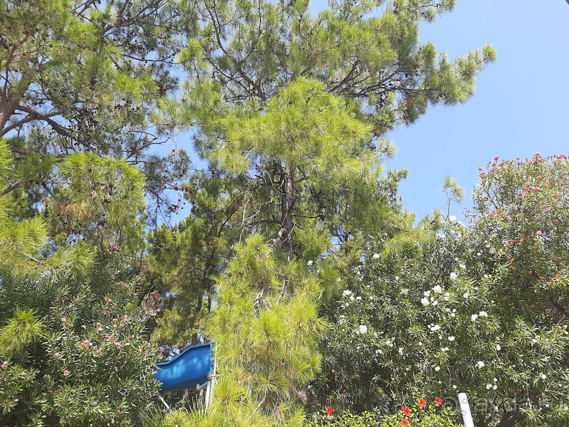 Потрясающие панорамы