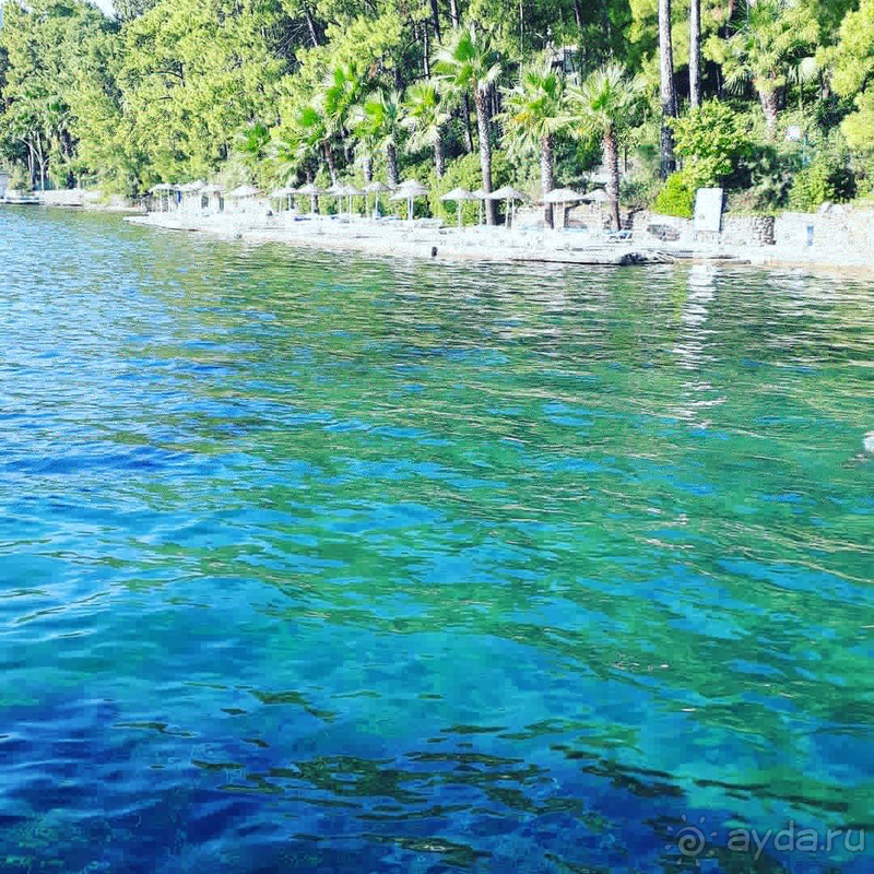 Отдых, природа, море супер