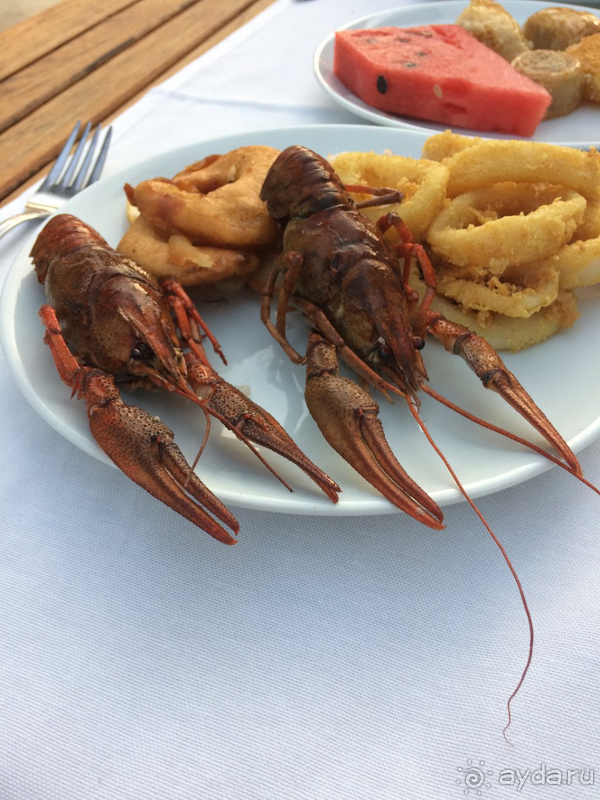 Море, горы, сосновый лес.