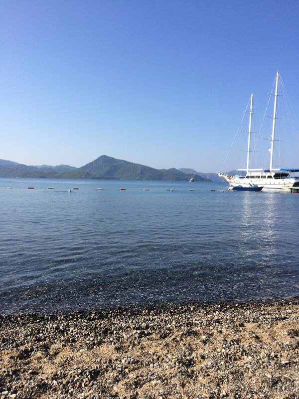 Море, горы, сосновый лес.