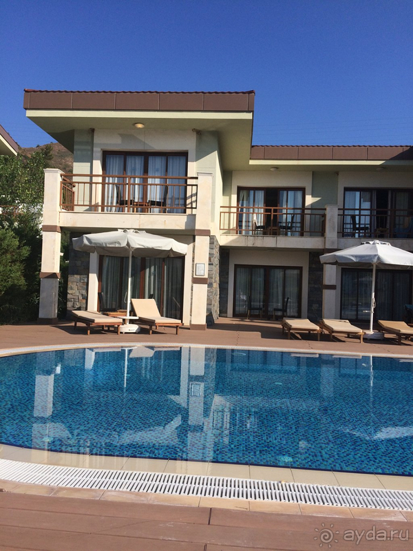 Море, горы, сосновый лес.