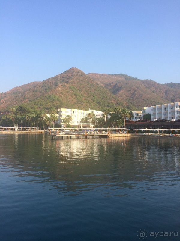 Море, горы, сосновый лес.