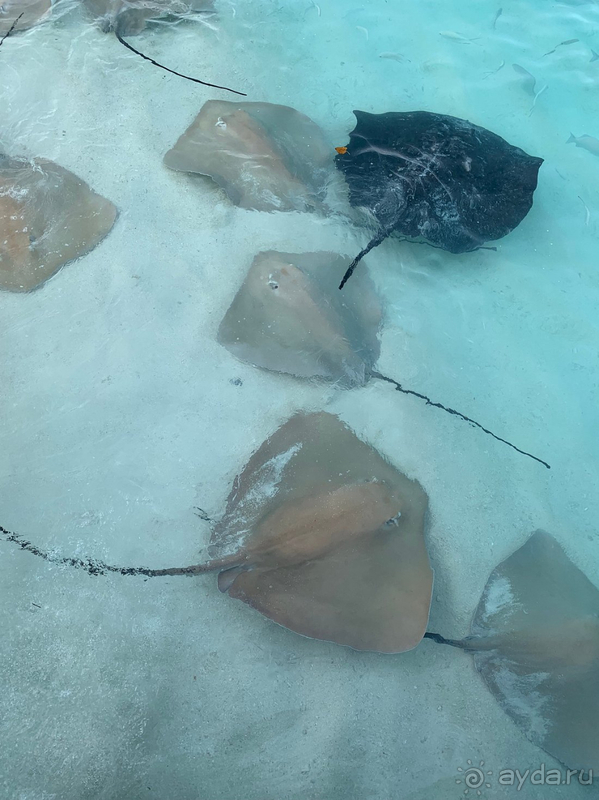 Это, кончено, рай!