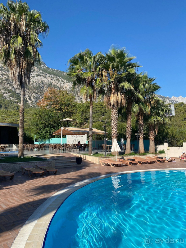 Отличное соотношение цена=качество! Отличное соотношение цена=качество!