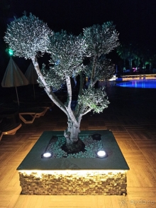 Отличное соотношение цена=качество! Отличное соотношение цена=качество!