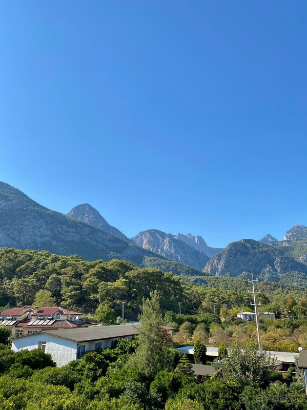 Отличное соотношение цена=качество!