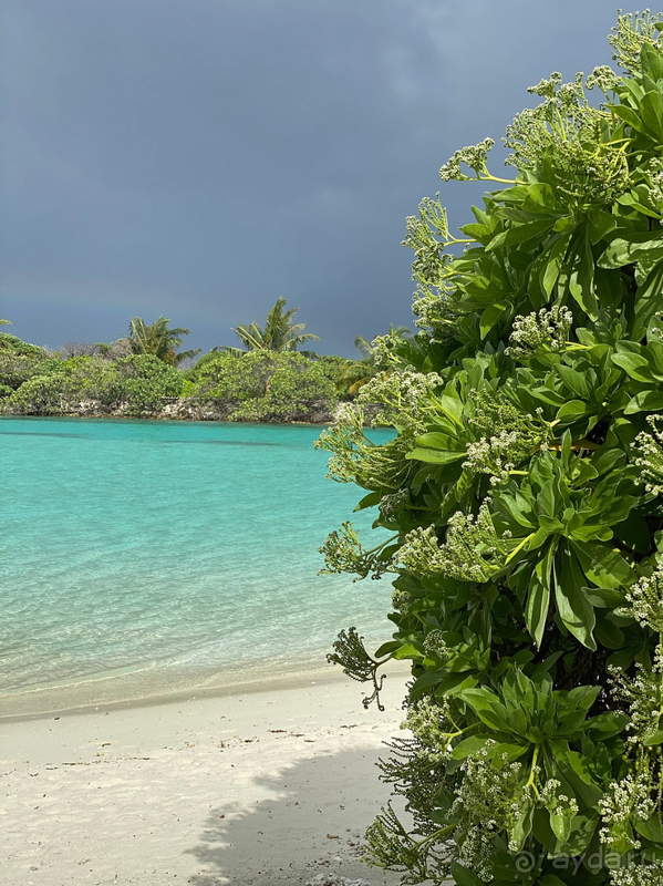 Шикарный отель для семейного отдыха на Мальдивах