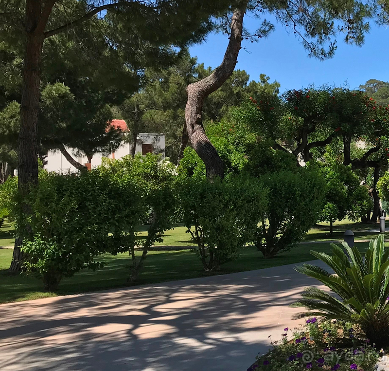 Гостеприимство, активный досуг и обалденная кухня – таким нам запомнился Пальмие