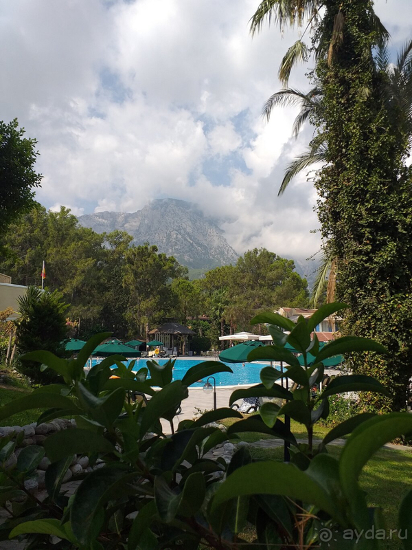 Отель на 5 звезд не тянет