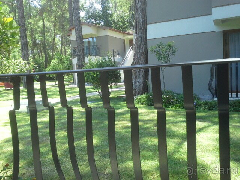 Отдых в период карантина