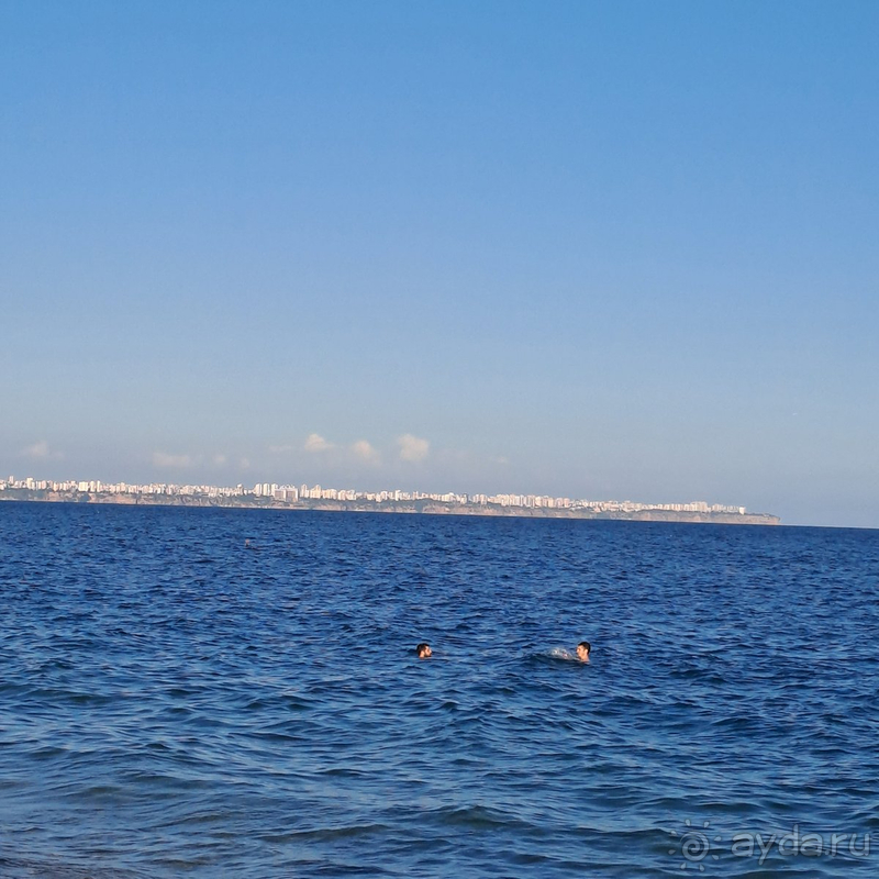 Хорошо и не дорого