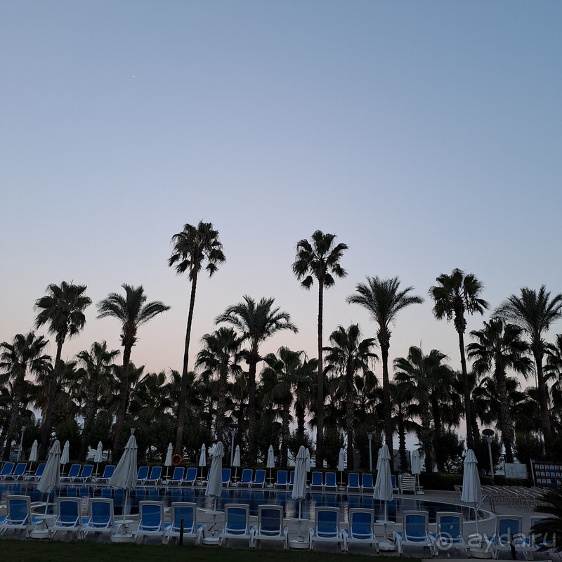 Хорошо и не дорого