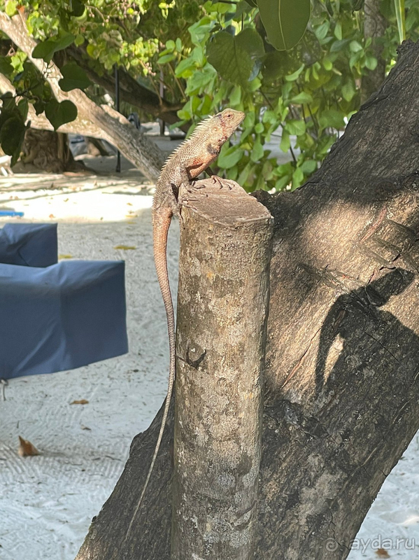 Райское место!