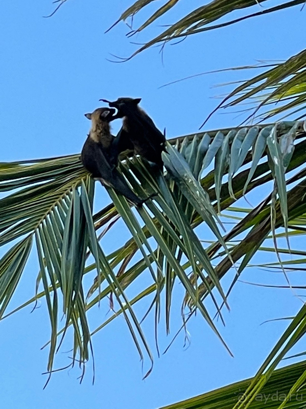 Райское место!