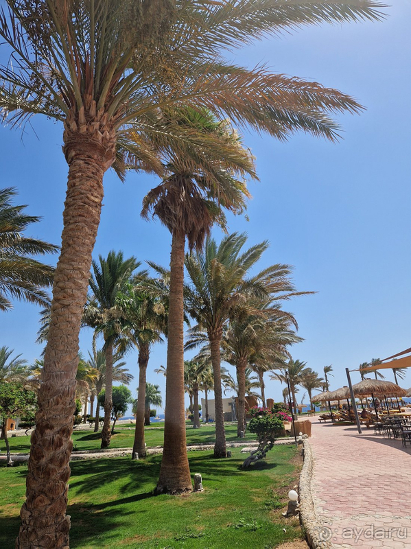 Неплохо отдохнули в Египте