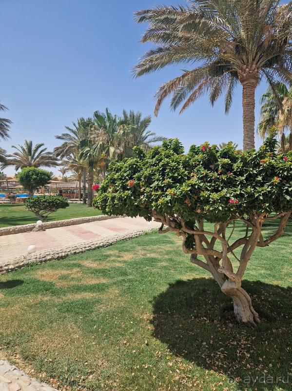 Неплохо отдохнули в Египте