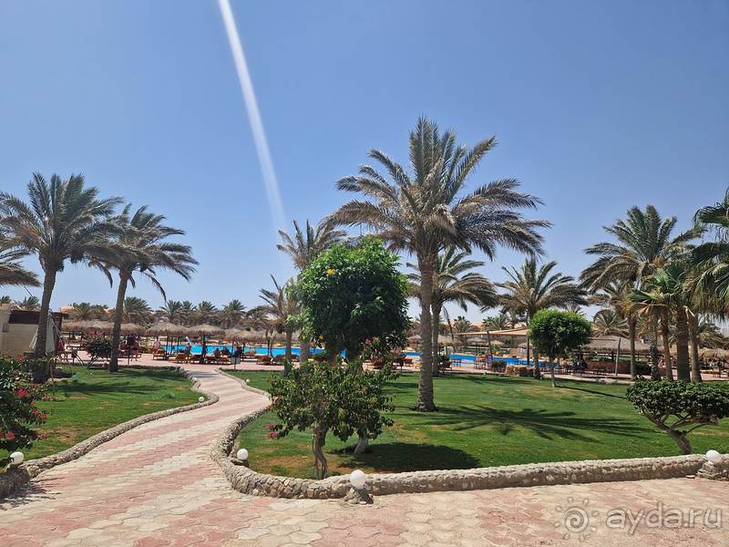 Неплохо отдохнули в Египте