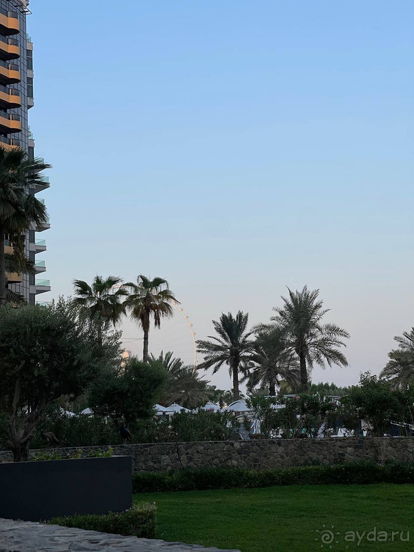 Идеально было все!