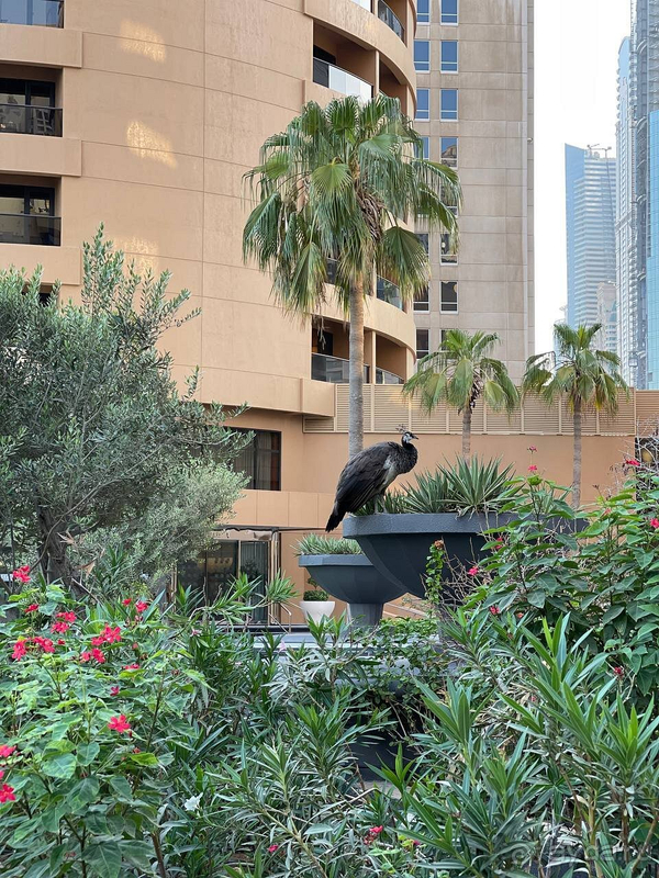 Идеально было все!