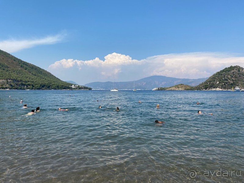 Цена-качество Цена-качество