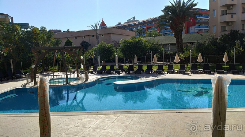 Плюсов больше, чем минусов