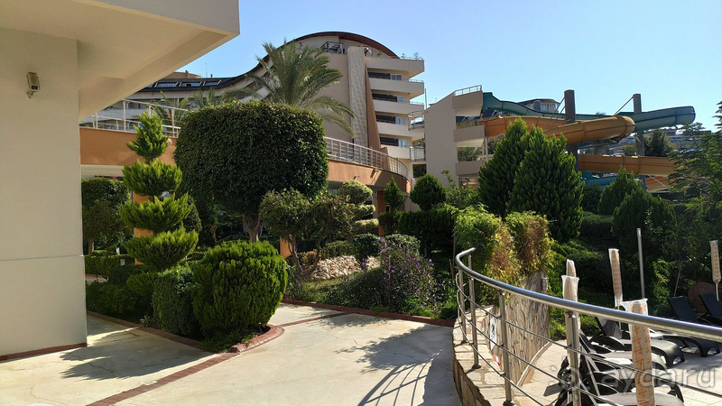 Плюсов больше, чем минусов