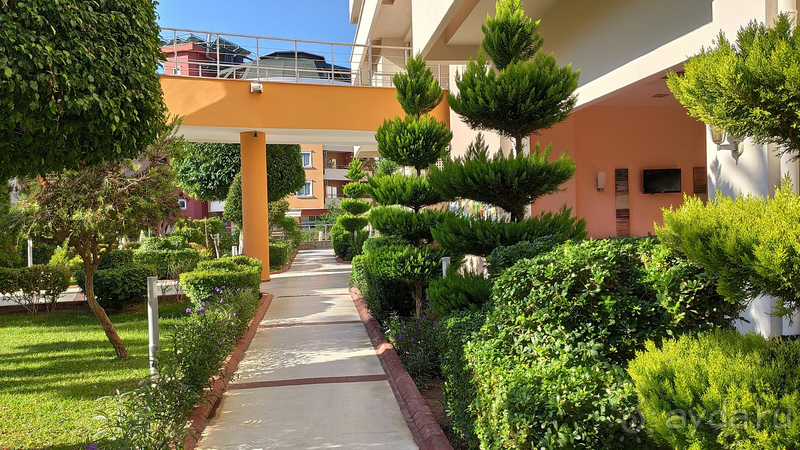 Плюсов больше, чем минусов