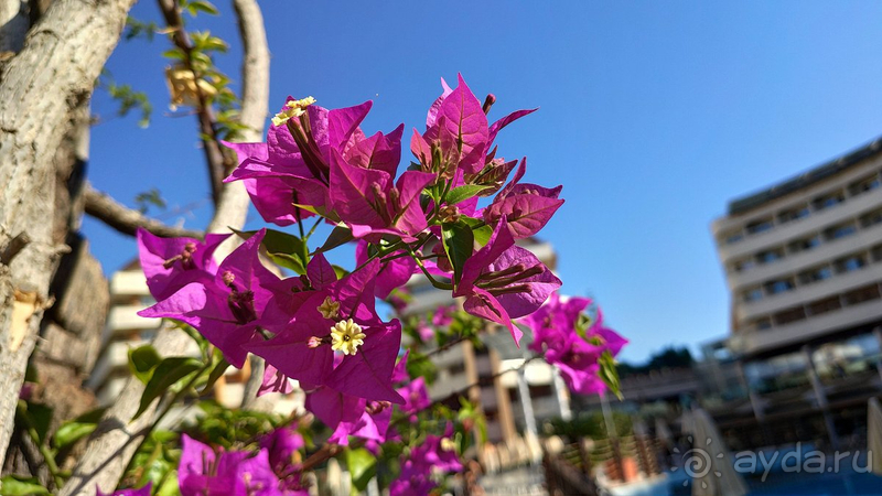 Плюсов больше, чем минусов