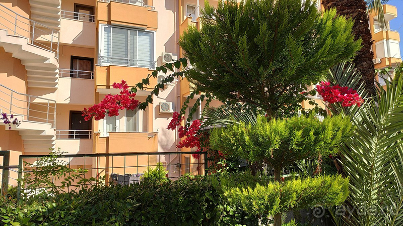 Плюсов больше, чем минусов