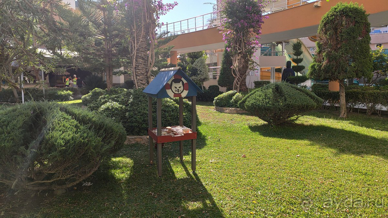 Плюсов больше, чем минусов