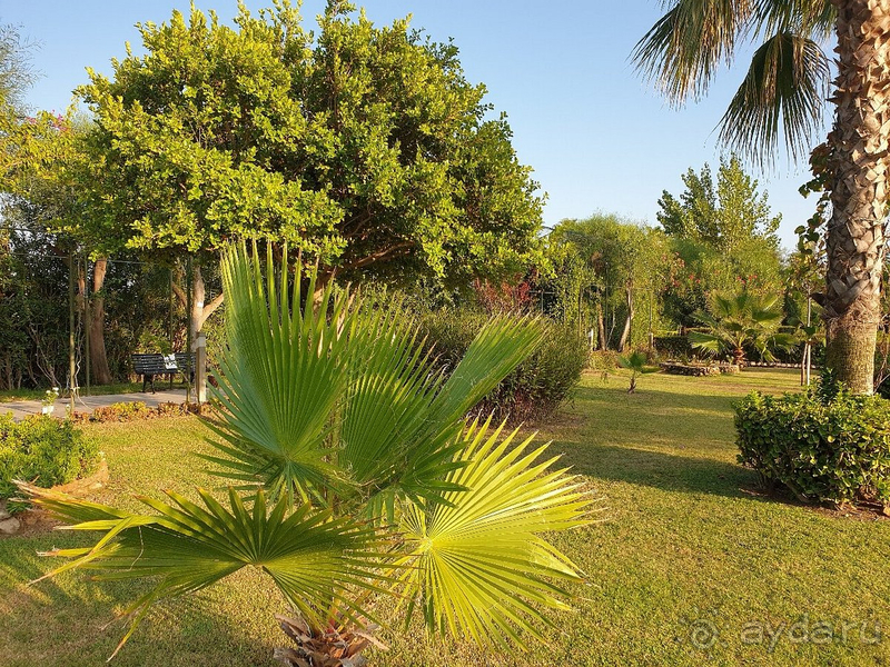 Детям будет скучно, а для взрослых отель отличный!