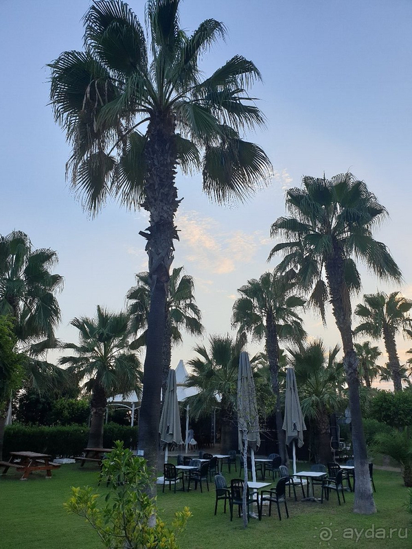 Детям будет скучно, а для взрослых отель отличный! Детям будет скучно, а для взрослых отель отличный!