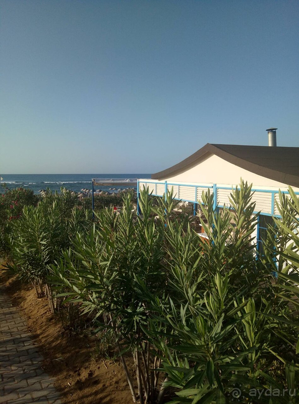 Не придирайтесь и прекрасно отдохнете!